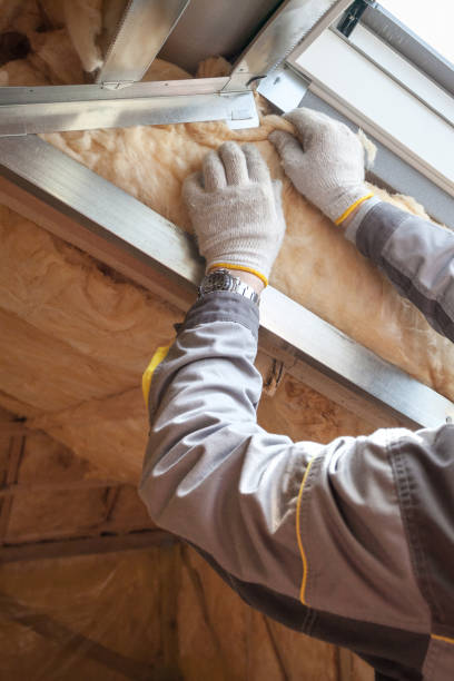 Best DIY Insulation Kits and Guidance in Hamilton, IN