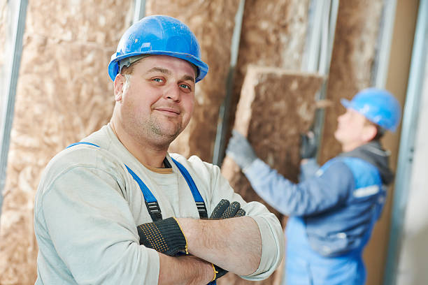Best Energy Efficiency Insulation in Hamilton, IN